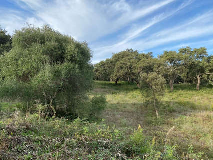 Parcela rústica en venta en San Roque zona Sotogrande