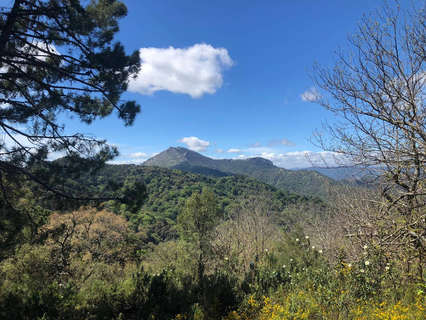 Parcela rústica en venta en Málaga