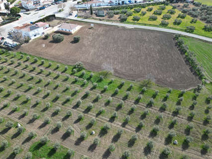 Parcela rústica en venta en Cuevas del Becerro