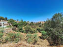 Parcela rústica en venta en Marbella rebajada