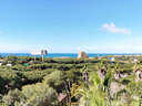 Parcela rústica en venta en Marbella