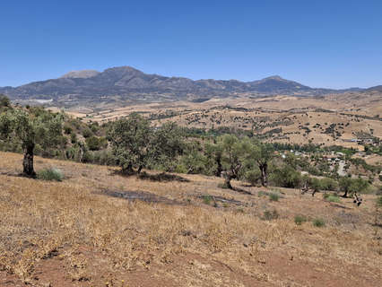 Parcela rústica en venta en Marbella