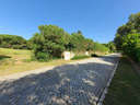 Parcela rústica en venta en San Roque zona Sotogrande