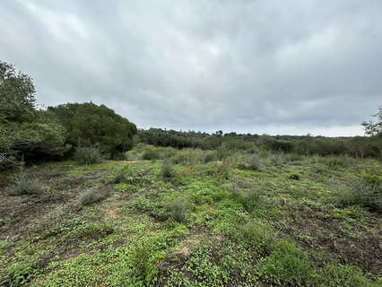 Parcela rústica en venta en San Roque zona Sotogrande