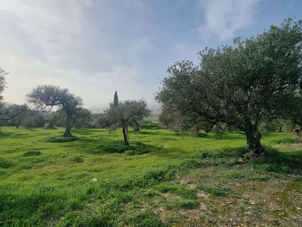 Parcela rústica en venta en Alhaurín el Grande