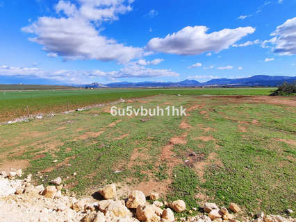 Parcela rústica en venta en Mollina
