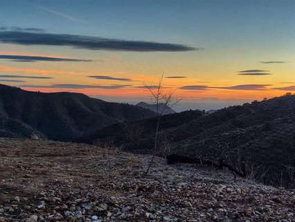 Parcela rústica en venta en Marbella