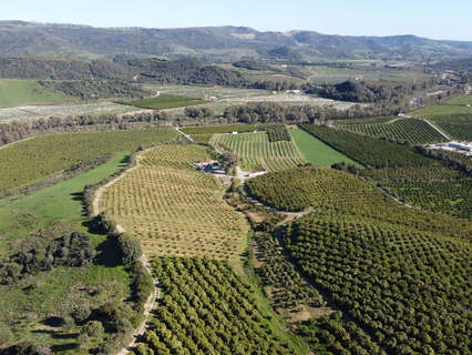Parcela rústica en venta en Casares