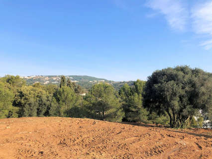 Parcela rústica en venta en San Roque