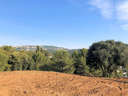 Parcela rústica en venta en San Roque