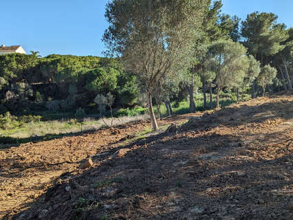 Parcela rústica en venta en San Roque zona Sotogrande