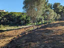 Parcela rústica en venta en San Roque zona Sotogrande