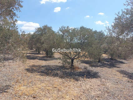 Parcela rústica en venta en Álora