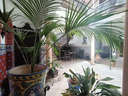 Chalet en venta en Ronda