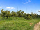 Chalet en venta en Castellar de la Frontera