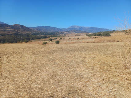 Parcela rústica en venta en Coín