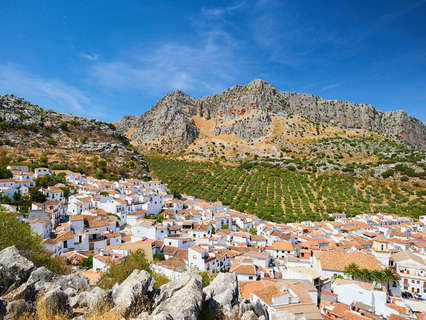 Parcela rústica en venta en Montejaque