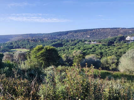 Parcela rústica en venta en San Roque zona Sotogrande