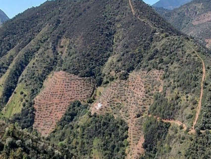 Parcela rústica en venta en Monda