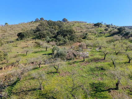 Parcela rústica en venta en Marbella