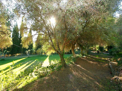 Parcela rústica en venta en Mijas