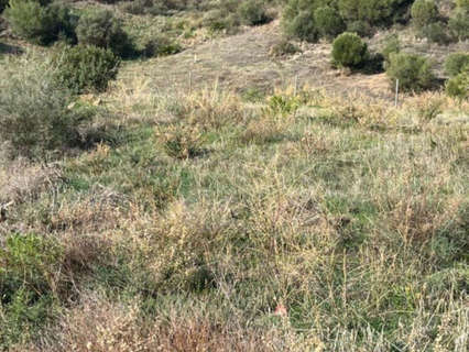 Parcela rústica en venta en Estepona