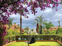 Planta baja en venta en Marbella