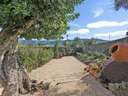 Planta baja en venta en Calvià