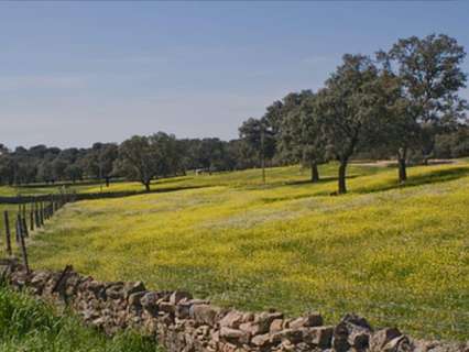 Parcela rústica en venta en Añover de Tormes