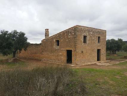 Parcela rústica en alquiler en La Pobla de Cérvoles