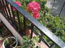 Casa en venta en Córdoba