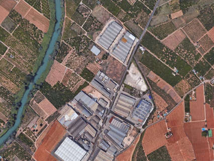 Parcela rústica en venta en Alzira