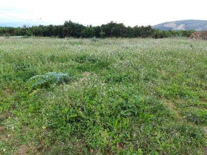 Parcela urbana en venta en Cotes