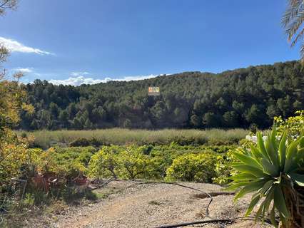Parcela rústica en venta en Callosa d'En Sarrià