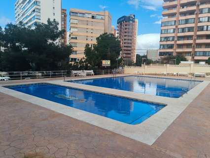 Piso en alquiler en Benidorm