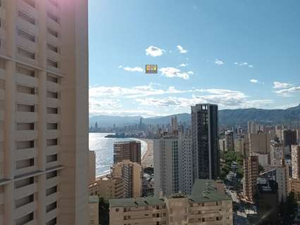 Apartamento en alquiler en Benidorm