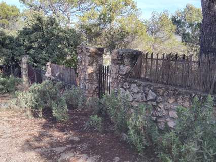 Parcela rústica en venta en Albalate de Zorita