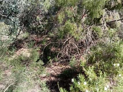 Parcela rústica en venta en Albalate de Zorita