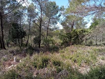 Parcela rústica en venta en Albalate de Zorita