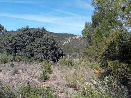 Parcela rústica en venta en Albalate de Zorita