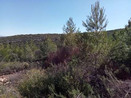 Parcela rústica en venta en Albalate de Zorita