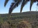 Chalet en venta en Albalate de Zorita