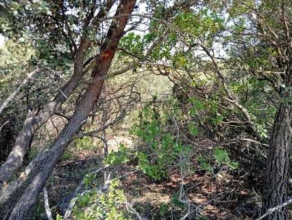Parcela rústica en venta en Albalate de Zorita