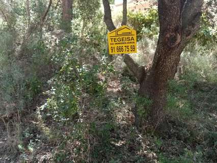 Parcela rústica en venta en Albalate de Zorita
