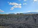 Parcela rústica en venta en Salinas