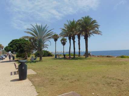 Apartamento en venta en Torrevieja zona La Veleta