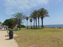 Apartamento en venta en Torrevieja zona La Veleta
