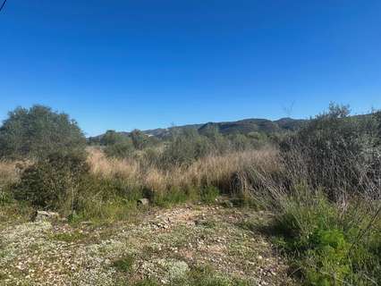 Parcela rústica en venta en Benidoleig