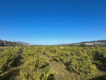 Parcela rústica en venta en Orba