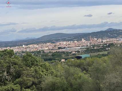 Parcela rústica en venta en Manacor
